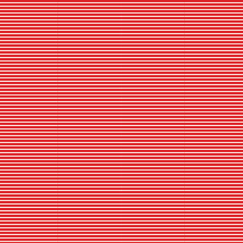 1156 - White Stripes on MATERIAL OF YOUR CHOICE