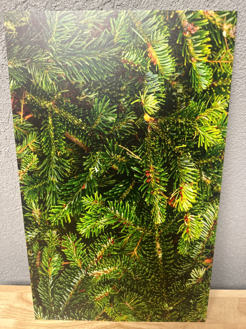 Scratch and Dent: 1/8” Evergreen - White - Single Sided