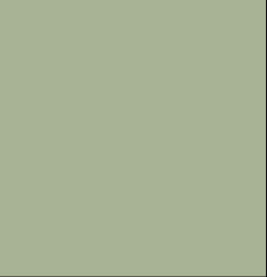 Sage Green - Matte/Gloss - 1/8" Cast Acrylic Sheet