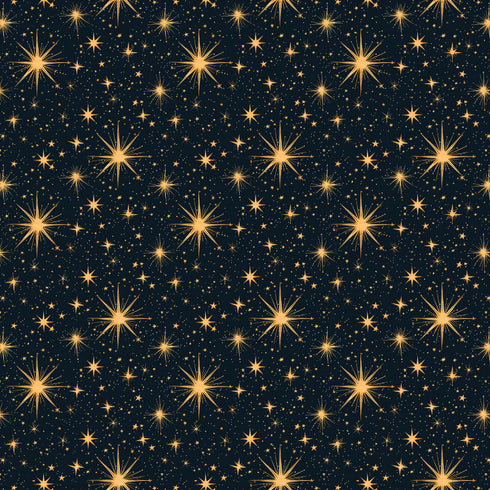 0338- Starry Night Sky