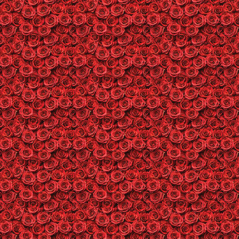 3506 - Red Roses