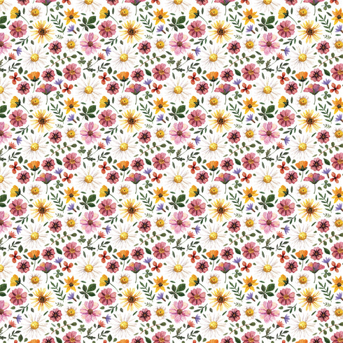 4039 - Small Dainty Pressed Flowers