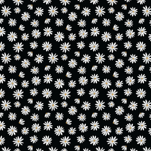 7001 - Black Daisies