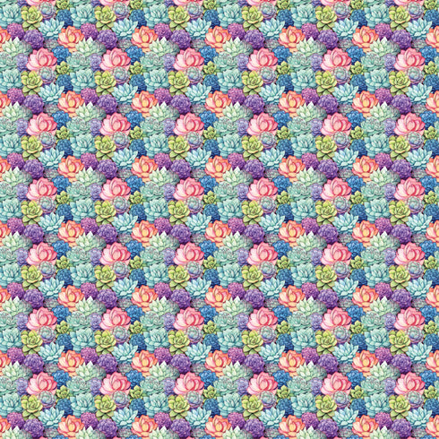 7007 - Micro Succulents