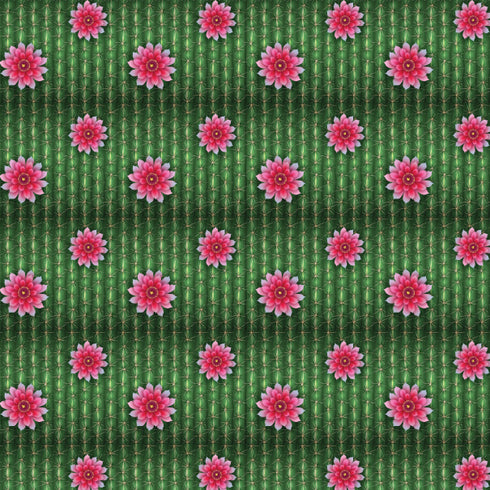 7008 - Cactus with Flowers