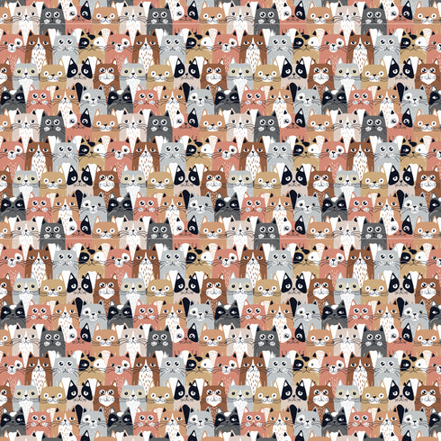 0076 - Crazy for Cats