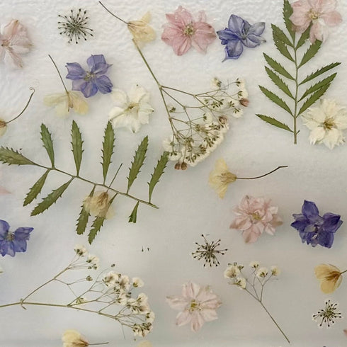 Pressed Wildflower Medley (4.5 mm)