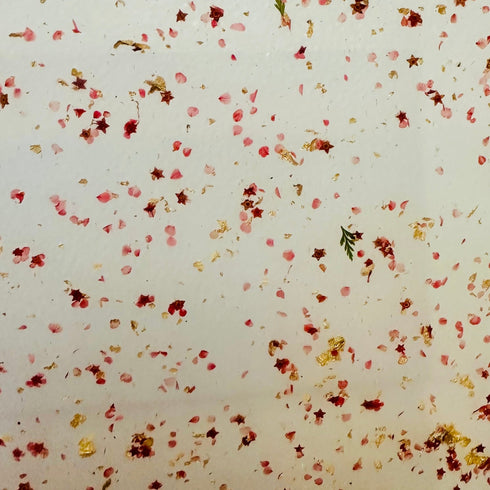 Scratch and Dent: Pressed Red Petals