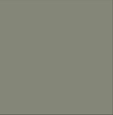 Russian Olive - Matte/Gloss - 1/8" Cast Acrylic Sheet