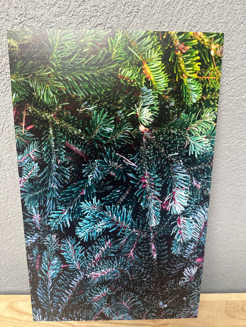 Scratch and Dent: 1/8” Lost Ink Evergreen - White - Single Sided