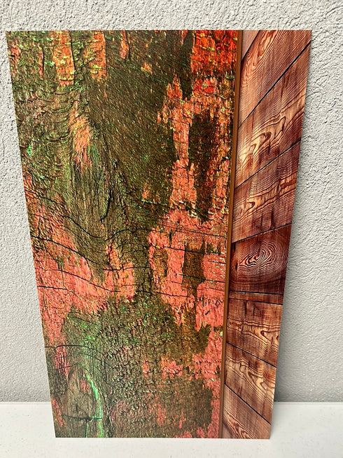 0489 - Barnwood Staging Background