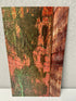 0489 - Barnwood Staging Background