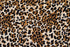 0153 - Leopard Print