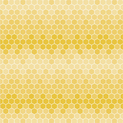 0674 - Honeycomb Ombre