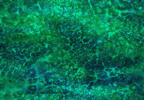 0700 - Green Inverted Night Sky