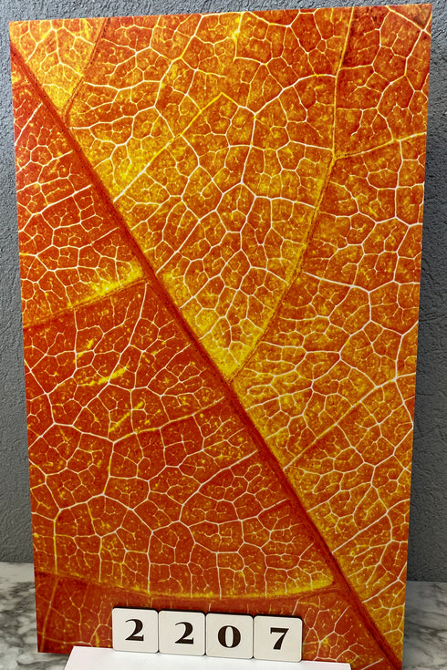 2207 - Fall Leave Vein