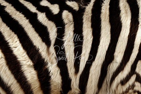 2039 - Zebra Animal Print