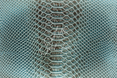 2061 - Snake Skin Blurred Edges