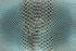 2061 - Snake Skin Blurred Edges