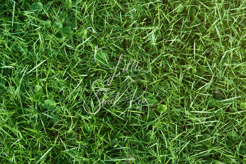 2069 - Greenery