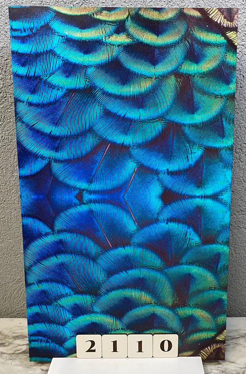 2110 - Peacock Feathers