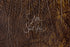 2145 - Leather Texture