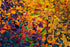 2167 - Abstract Stain Glass