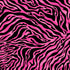 2342 - Pink and Black Zebra