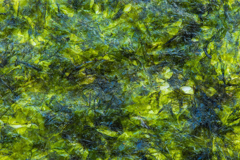 2365 - Water Greenery