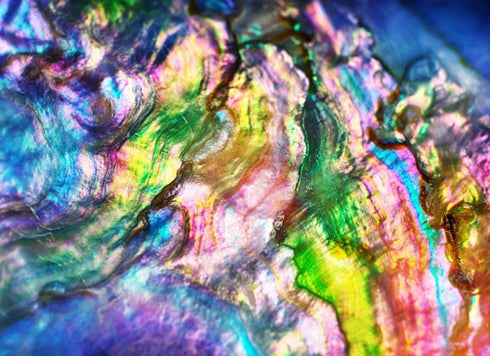 2387 - Mother of Pearl