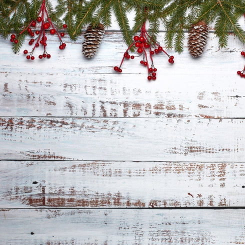 2411 - Shiplap with Christmas Greenery