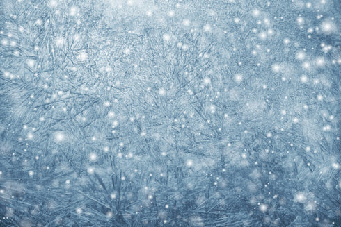 2421 - Crackling Ice