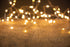 2426 - Wood with Twinkle Lights