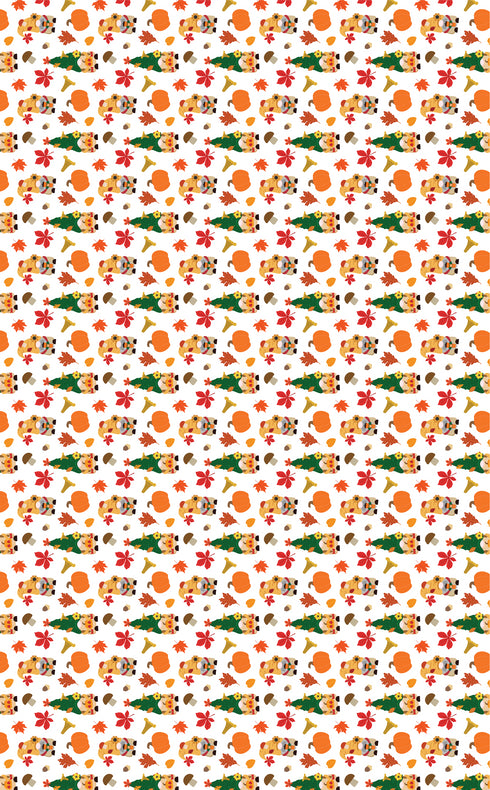 2624 - Fall Autumn Gnomes