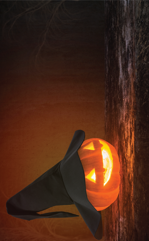 2637 - Witchy Pumpkin