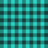 0040 - Small Teal & Black Plaid