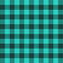0049 - Regular Teal & Black Plaid
