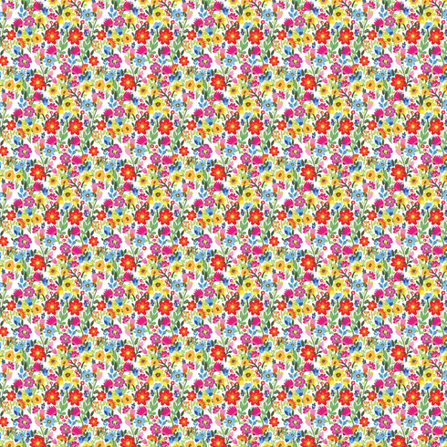 3059 - Field of Colorful Wildflowers (micro)