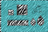 3139 - Zebra Small Pattern