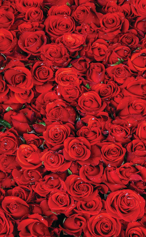 0400 - Roses are Red