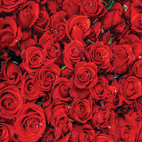 0400 - Roses are Red