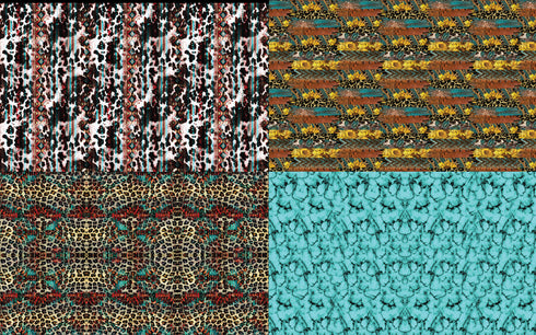 4072 - Western Earring Collection