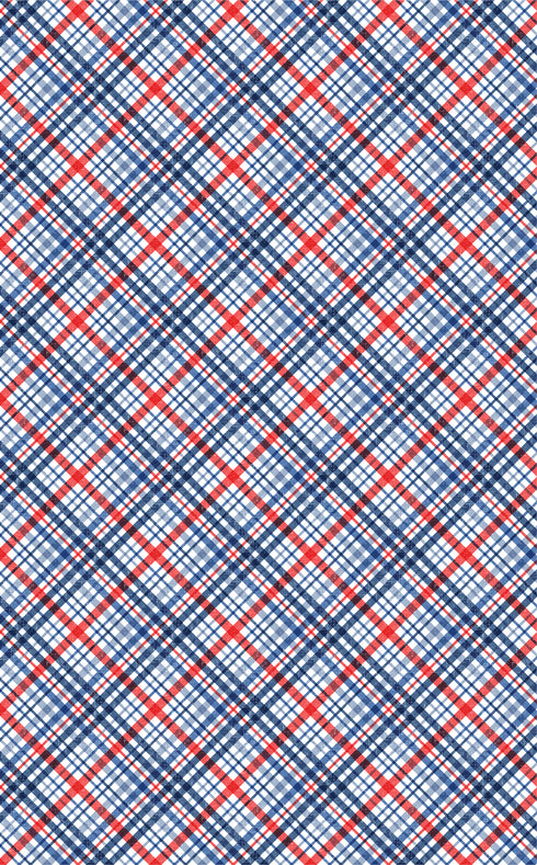 6022 - Red, White and Blue Patriotic & Picinic Stripes