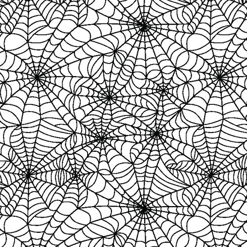 6047 - Spider Webs