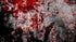 0901 - Blood Splatter Concrete