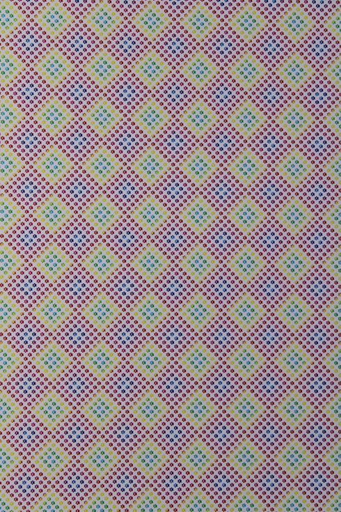 6026 - Rainbow Paw Print Diamond Pattern