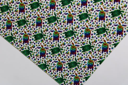 6035 - Small Rainbow Sea Turtles