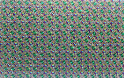 6035 - Small Rainbow Sea Turtles