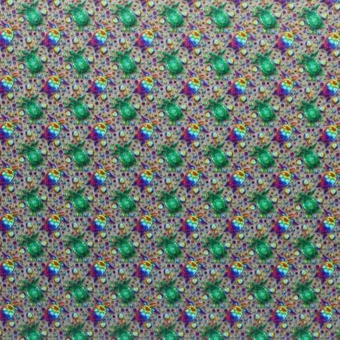 6035 - Small Rainbow Sea Turtles