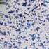 Periwinkle Glitter Flakes - 1/8" Clear Cast Acrylic Sheet